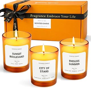 LA BELLEFÉE Candles for Home Scented, Scented Candles Fall Candles Soy Candles Gifts for Women, Stress Relief, Brithday Ca...
