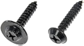 Dorman Trim Screw Assortment