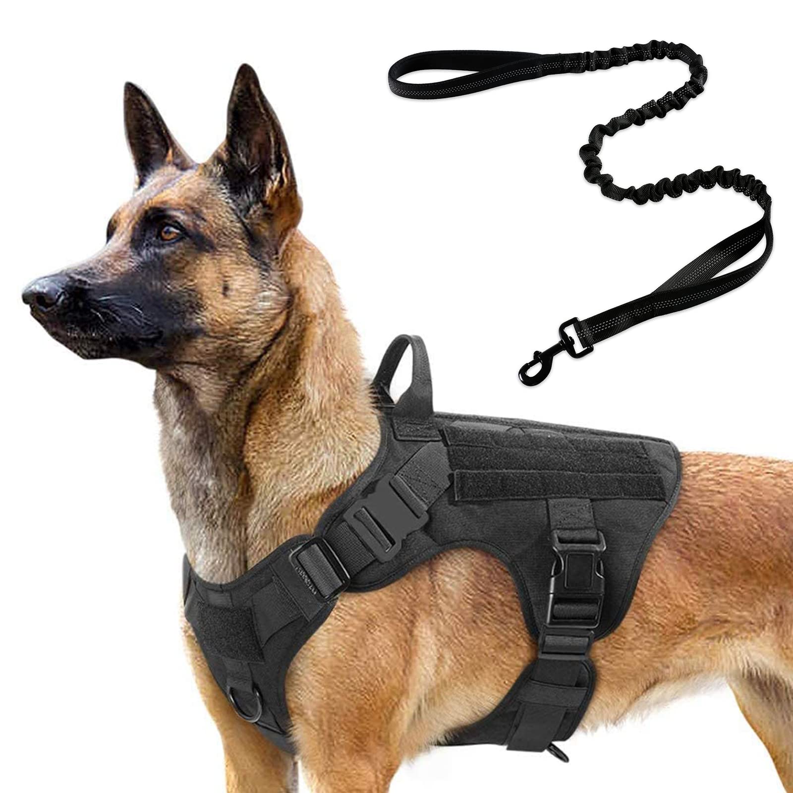 Are Bungee Leashes Suitable For German Shepherd Dog