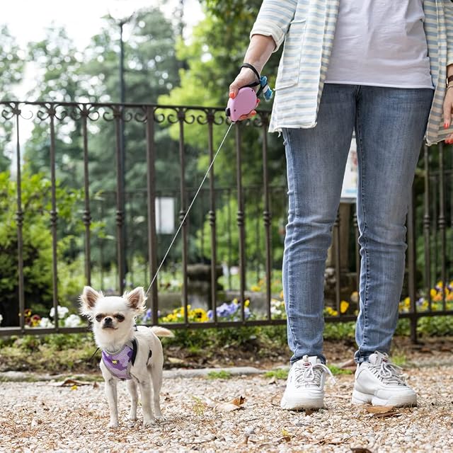 Foto 2 de 6 de Ferplast Correa retráctil para Perros pequeños Flippy One Cord Mini, Cuerda Extensible 3 m, MAX 8 kg, Rosa
