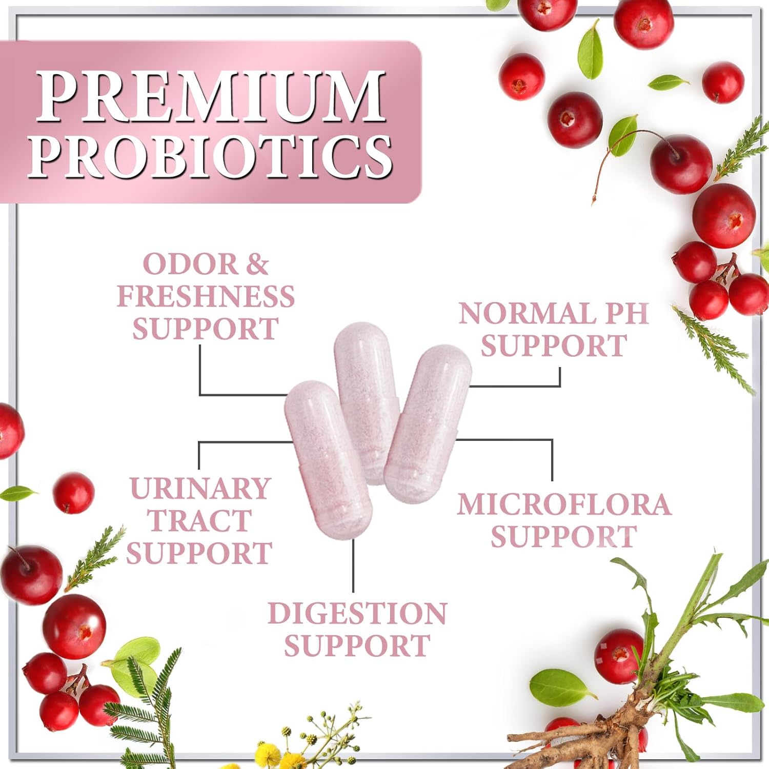 Probiotics for Women Digestive Health Support - 90 Billion CFU Women's Probiotic, 16 Strains, Cranberry, Vaginal Probiotic with Prebiotics, PH, Immune, Urinary, & Feminine Health Support, 120 Capsules - Image 5