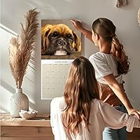 Vista 271 de Razas de Perros 2017