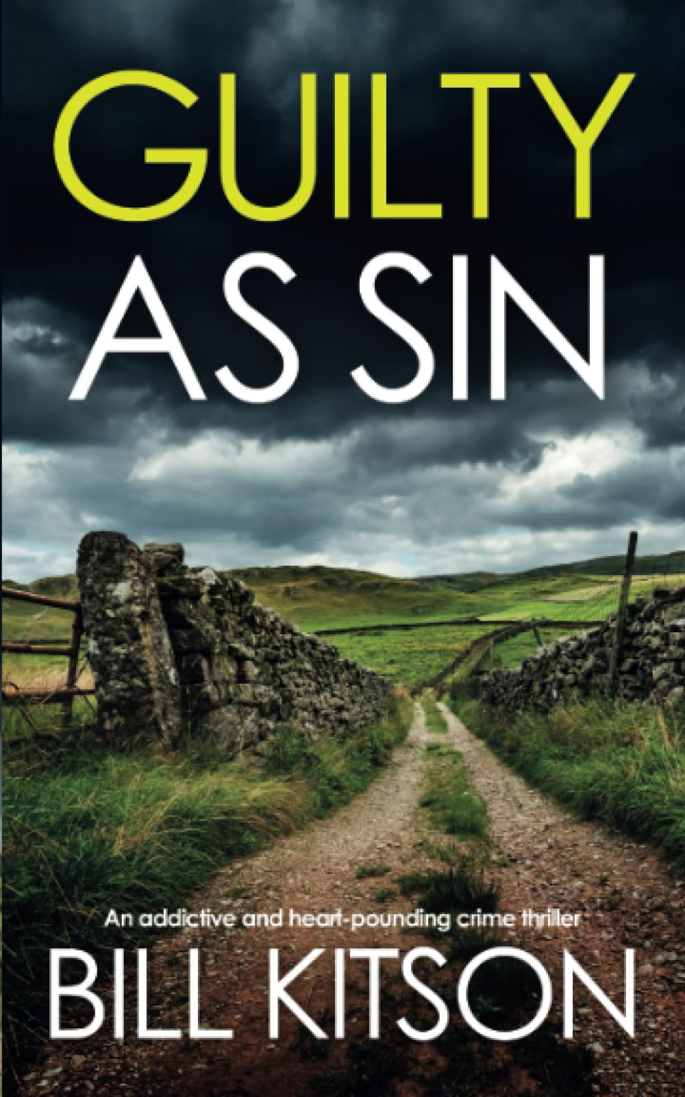GUILTY AS SIN an addictive and heart-pounding crime thriller (Detective Mike Nash)