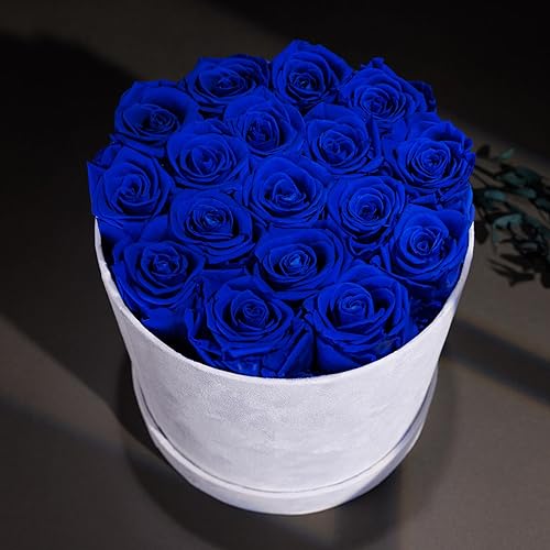 Miniatura 4 de Forever Real Roses en caja de gamuza, 17 piezas de rosas en una caja, rosas reales preservadas que duran más de un año, flores preservadas para