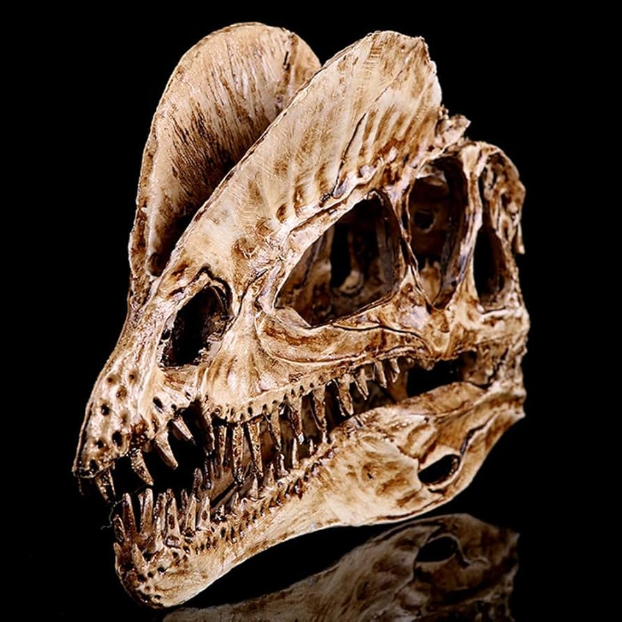 Amazon.co.jp: 恐竜樹脂モデル - 恐竜の歯の頭蓋骨化石教育