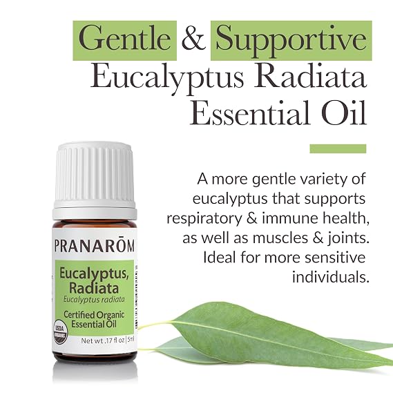 Pranarom - Eucalyptus Radiata Essential Oil 15ml - Moisturizing Skin - Supports Respiratory Health - Essential Oil for Diffuser - 100% Pure and Organic