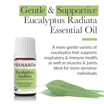 Pranarom - Eucalyptus Radiata Essential Oil 15ml - Moisturizing Skin - Supports Respiratory Health - Essential Oil for Diffuser - 100% Pure and Organic