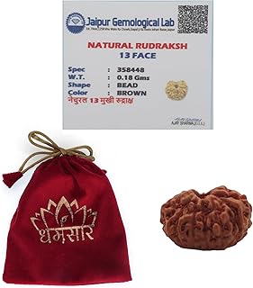 Dharmsaar Natural 13 Mukhi Indonesia Rudraksha Bead Men Women,Original Lab Certified Indonesia Origin Thirteen Mukhi Rudra...