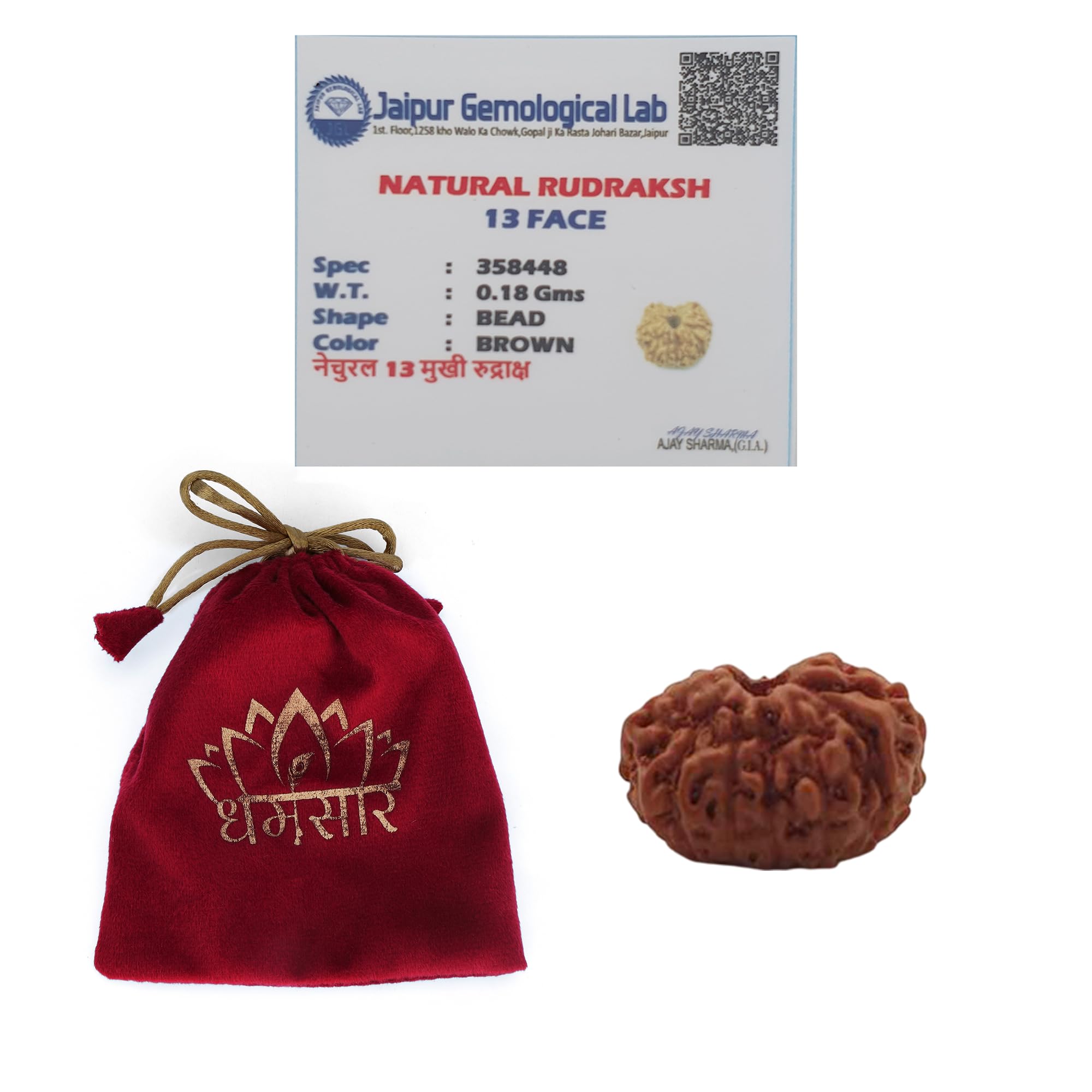 Dharmsaar Natural 13 Mukhi Indonesia Rudraksha Bead Men Women,Original Lab Certified Indonesia Origin Thirteen Mukhi Rudraksha Locket Neck,13 Face Gol Dana Brown Color Rudraksha-image-16