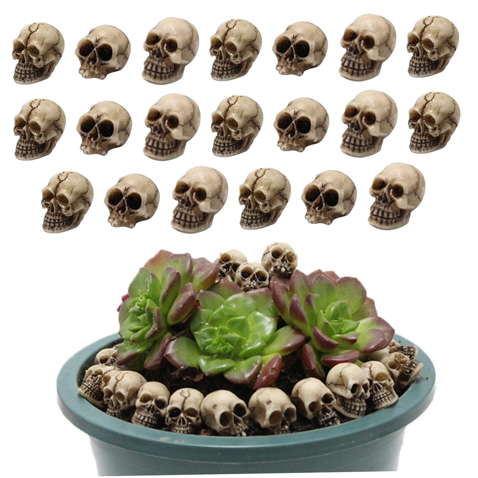 CNAFGBGG Mini Skeleton 20PCS, Realistic Resin, 0.71in, Garden Decor.