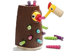 Montessori Bird Feeding Game: Enhancing Fine Motor Skills for Toddlers