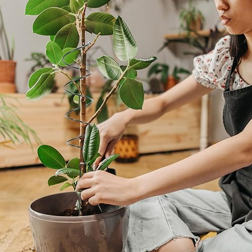 Miniatura 7 de Cabilock Estacas de soporte para plantas de 15.7 pulgadas, 6 jaulas y soportes de metal para peonía, estacas de jardín, anillo de soporte para
