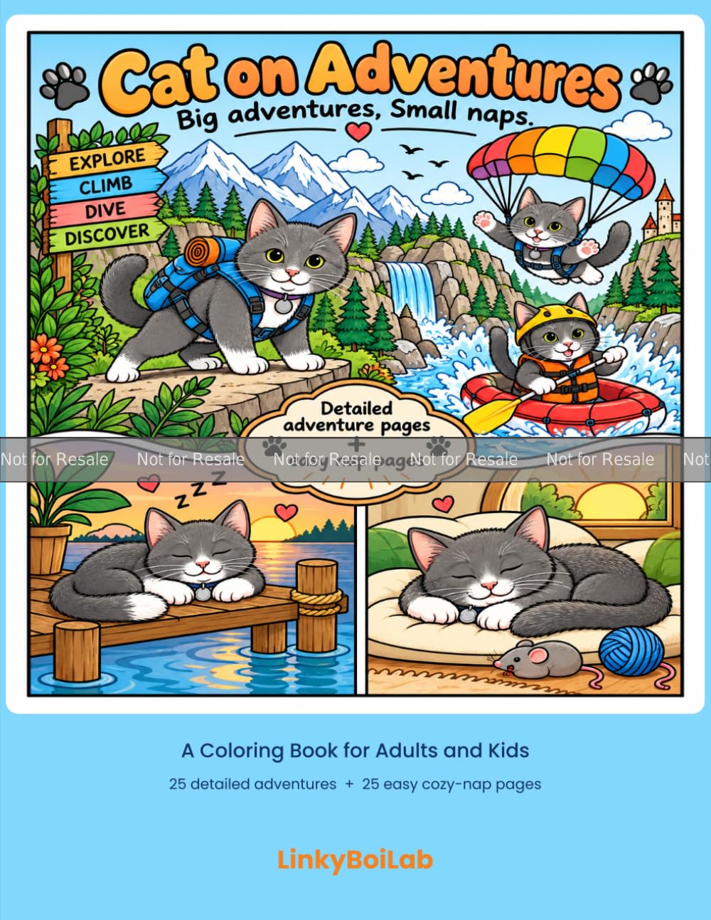 PROOF: Cat on Adventures: A Coloring Book of Big Adventures & Cozy Naps ...