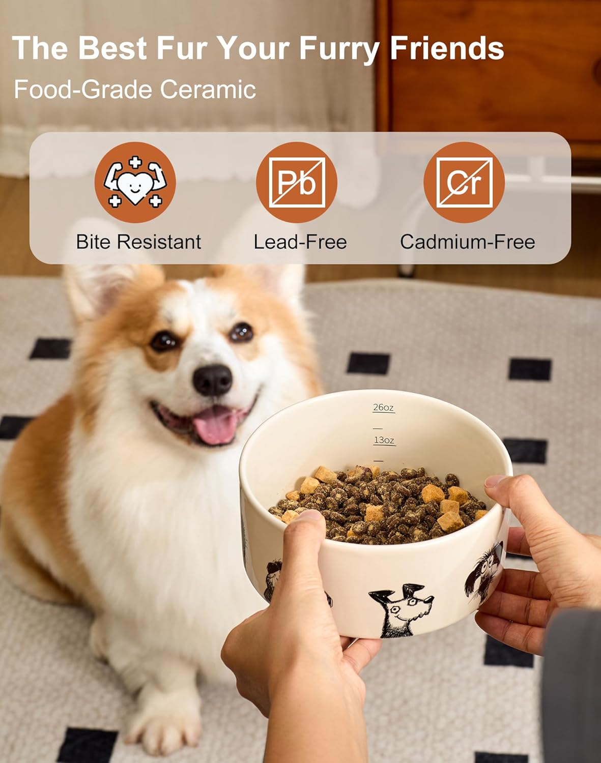 Ceramic Cute Dog Bowl Set of 2 for Small Dog with Weighted Non-Slip Ring-1.6 Cups, Stoneware Food and Water Set, Pet Feeding, Microwave and Dishwasher Safe-Derpy-S 2pcs