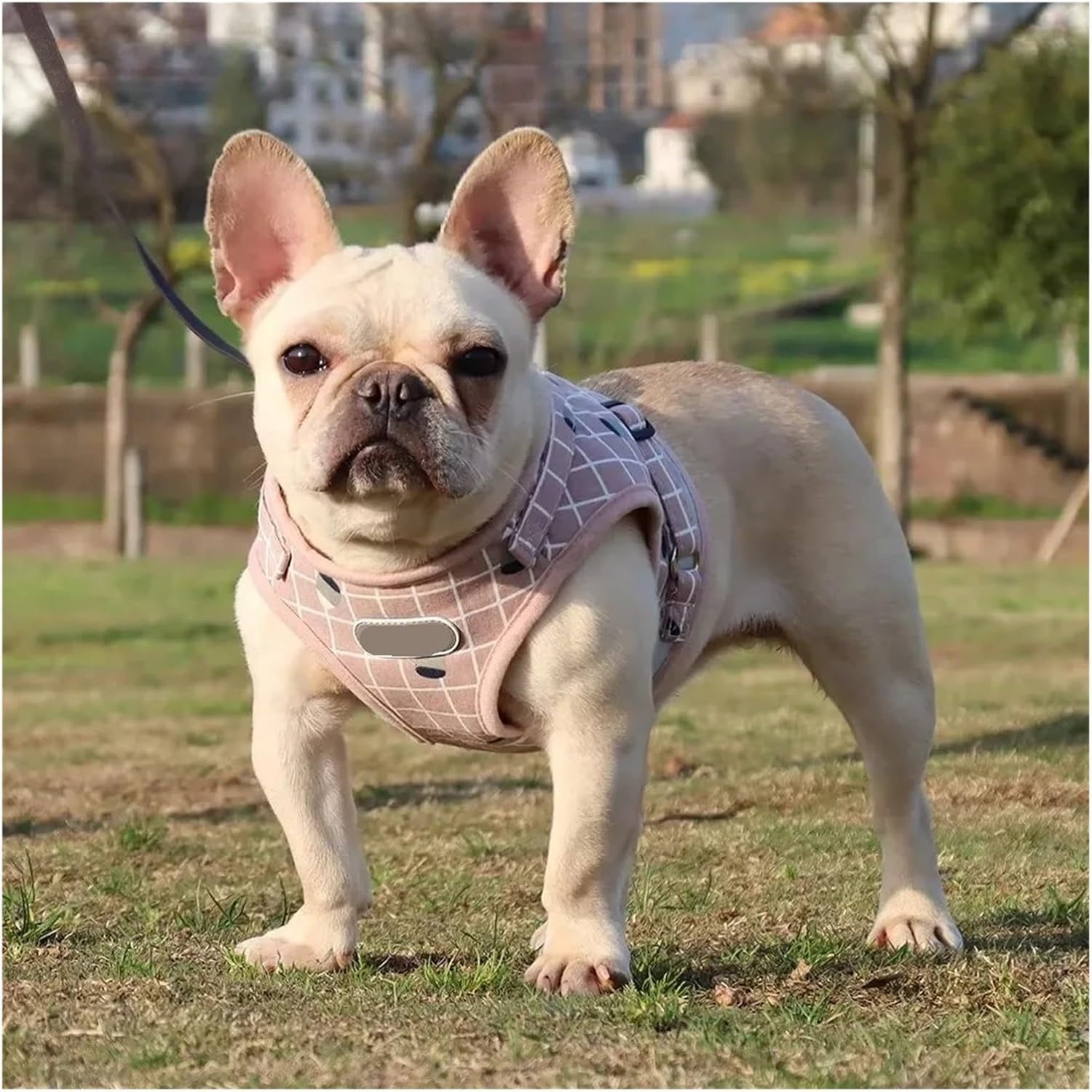 Pet Dog Harness Leash Set Adjustable Reflective Cat Dog Kitten Vest Harness Small Medium Pet Puppy Collar Harness Pet Supplies(Khaki,XS)