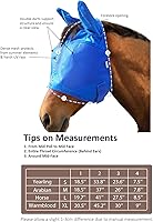 Vista 43 de Harrison Howard Máscara de mosca de caballo, media cara con orejas, color menta, talla pequeña