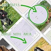 Vista 115 de Razas de Perros 2017