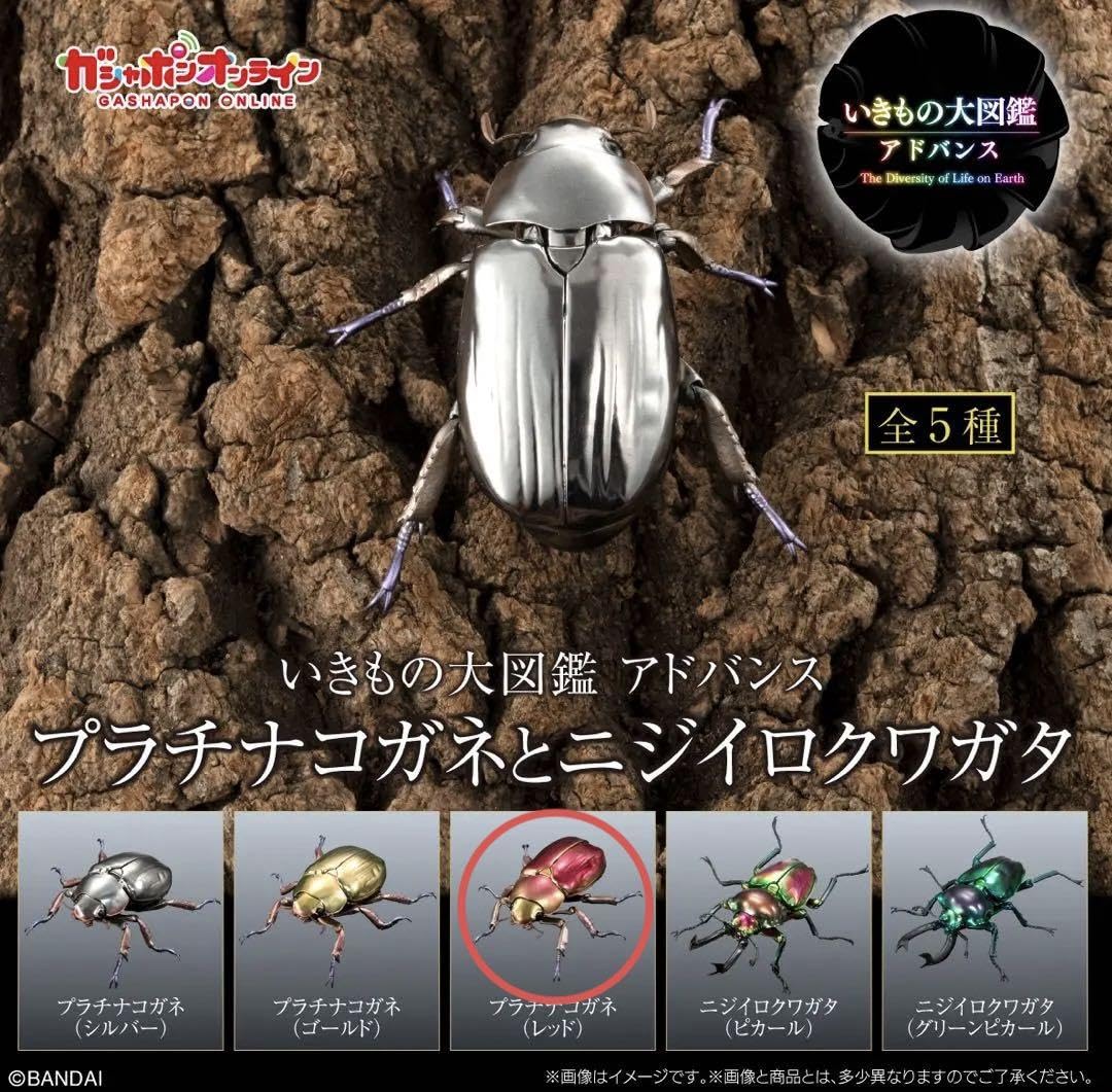 Amazon | いきもの大図鑑アドバンス プラチナコガネとニジイロクワガタ