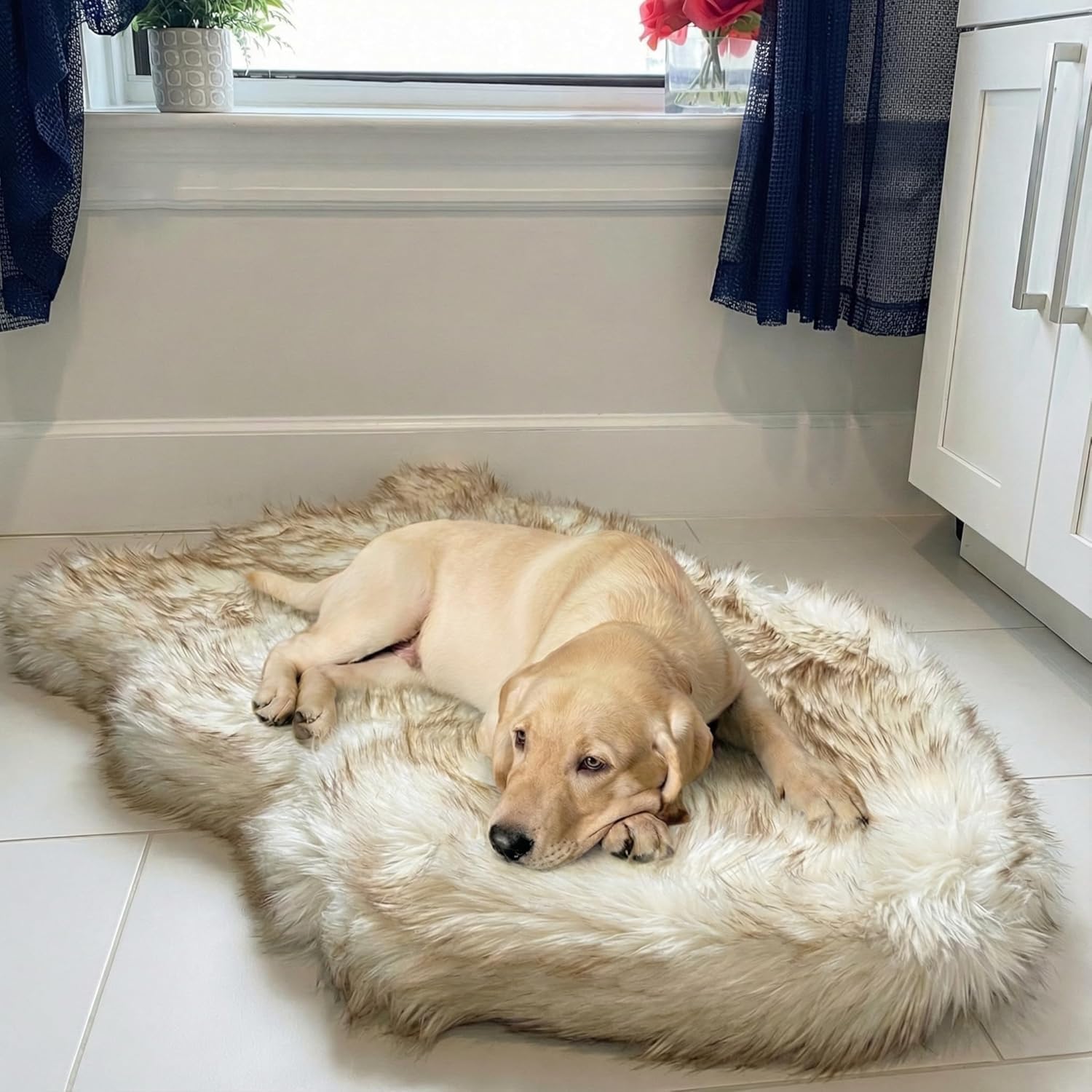 IHAPPYDOG Luxury Faux Fur Orthopedic Dog Bed, Memory Foam Dog Bed​ for​ Small, Medium, Large and XL Pets, Fluffy Pet Rug with Waterproof ​and ​Washable Cover (White w/Brown Tips, 40"x25")