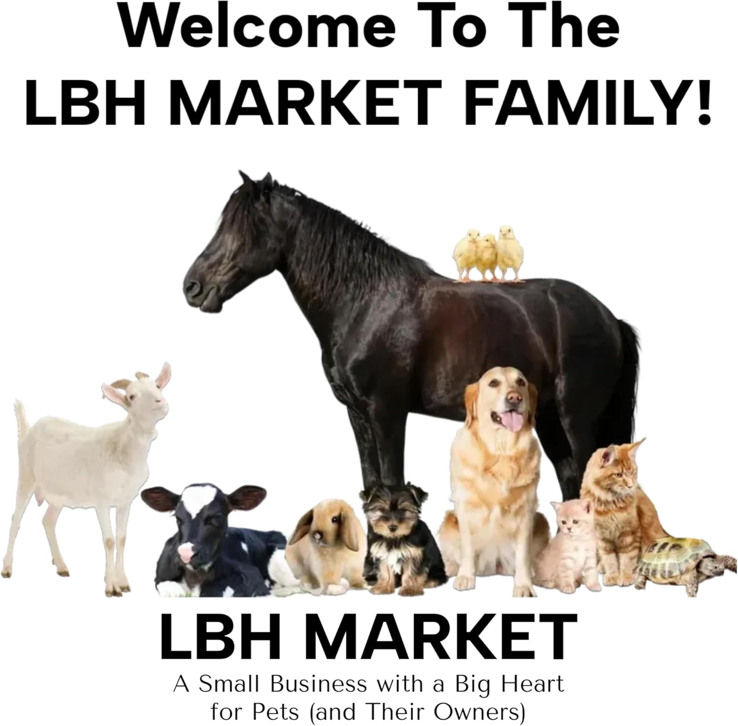 LBH MARKET Lamb Feeding Tube Syringe & Lamb Puller Kit for Sheep & Goats – Complete Lambing & Newborn Care Set