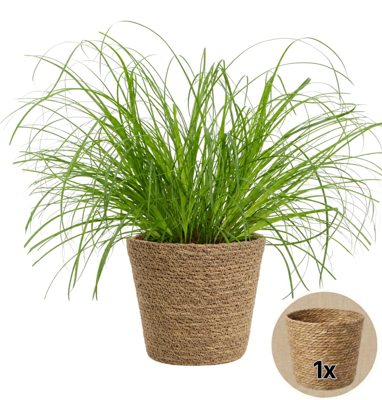 Blume Ideal Korb