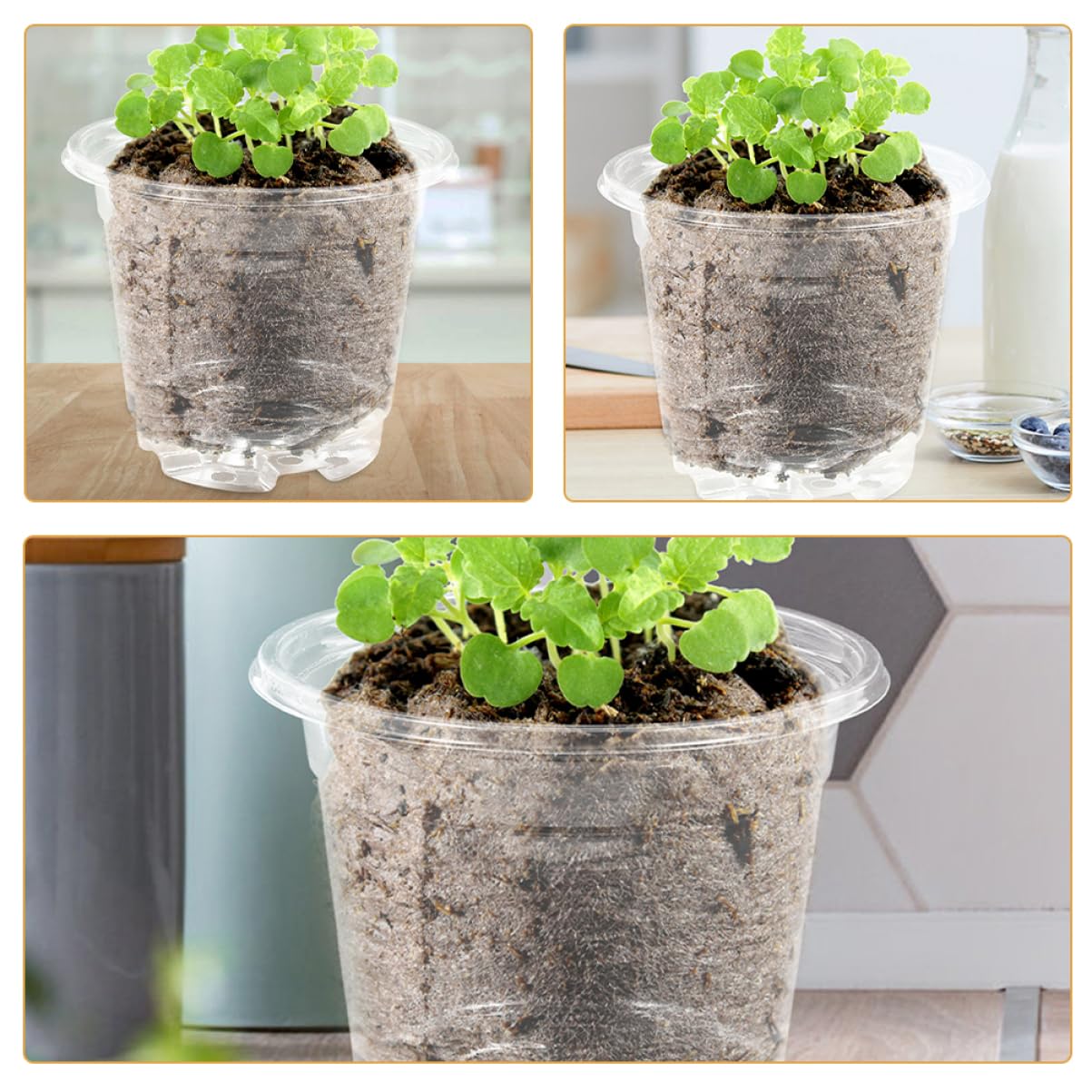 Toyvian 10Sets Clear Nursery Pots with Covers Planting Containers for Indoor and Outdoor Gardening for and Home