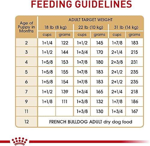 Miniatura 7 de Royal Canin French Bulldog - Alimento seco para cachorros, bolsa de 10.5 libras