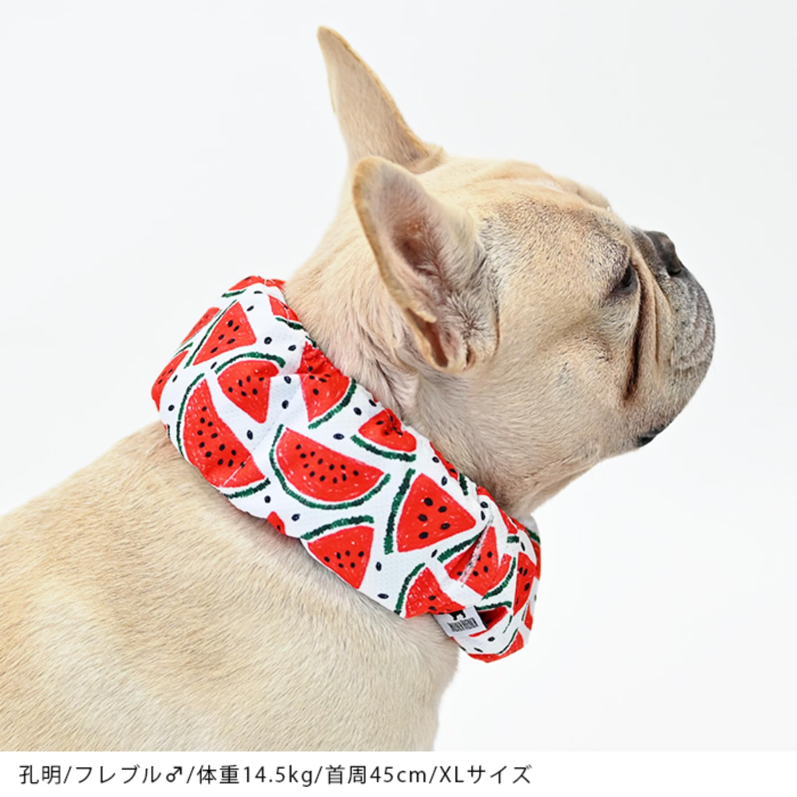 Amazon | クールネック 犬 全23柄 夏 暑さ対策 ひんやり リード穴付き
