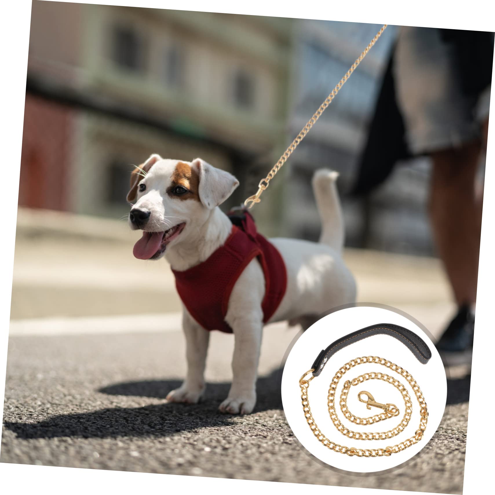minkissy Correa para Perros de Acero Inoxidable Dorada, Cuerda de Tracción Resistente y Cómoda para Paseos y Control de Mascotas y Cachorros