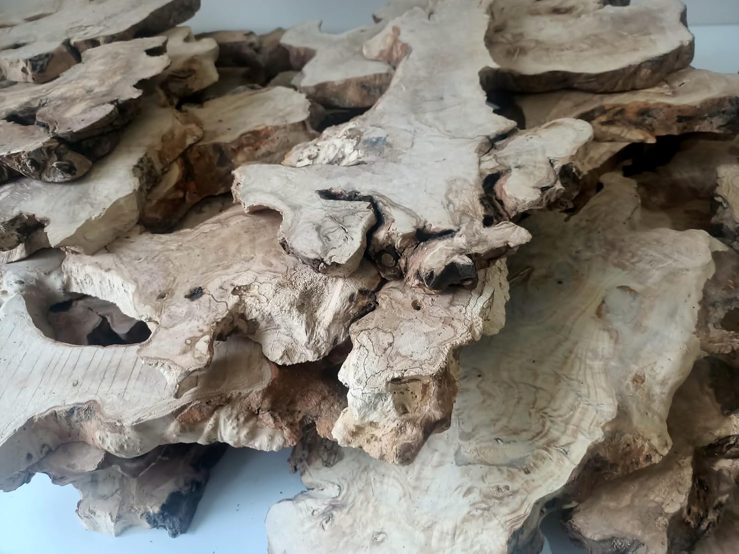 Live Edge Olive Slab Set for DIY & Epoxy - Resin Ready, Cleared Wood Slab (Burl, 16)