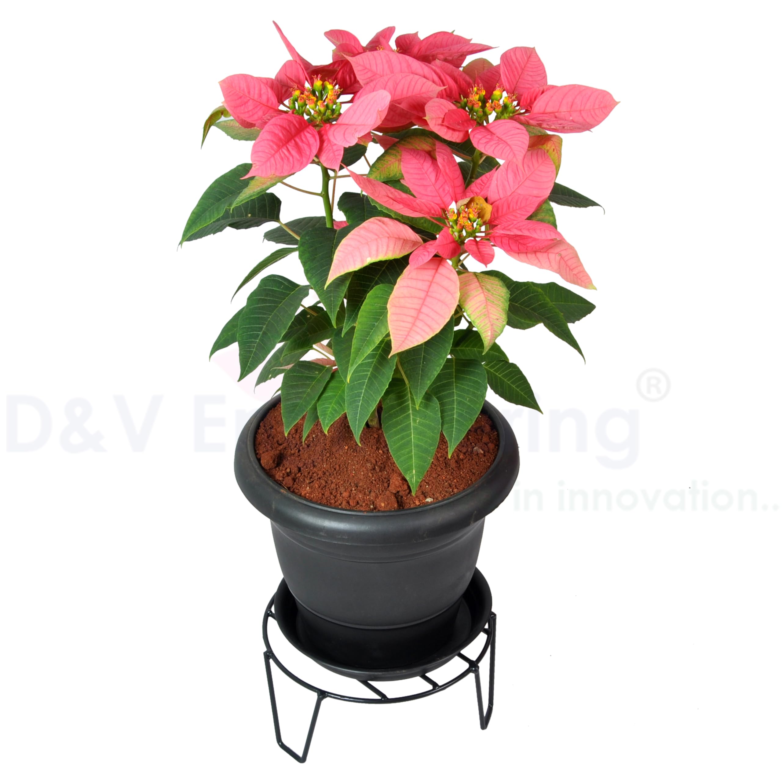 Metal Plant Stands - Set of 4 for Flowers & Pots -7
