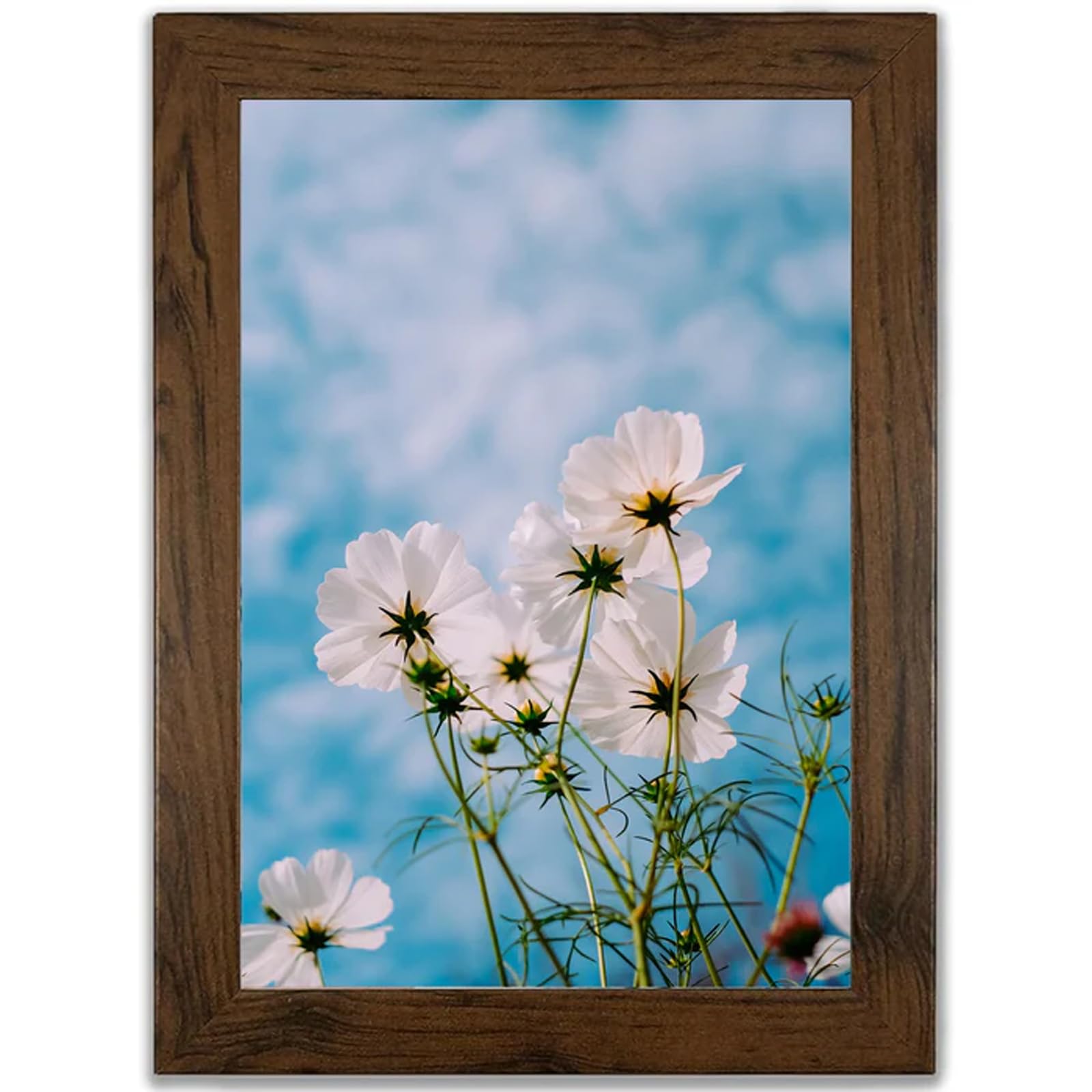 Auronna Walnut Picture Frame - Freestanding And Wall Mounted Photo Frame For Pictures Posters & Certificates (, A3 (30 X 42 Cm))
