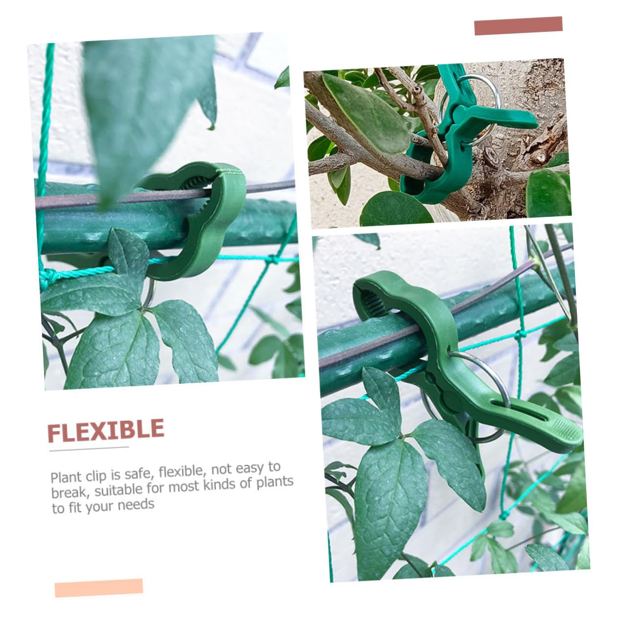NOLITOY 60 Piezas Clips de Soporte para Plantas de Jardín Pinzas Resistentes para Tomates y Orquídeas Fijación Segura para Tallos y Enredaderas para Cultivo y Jardinería Doméstica