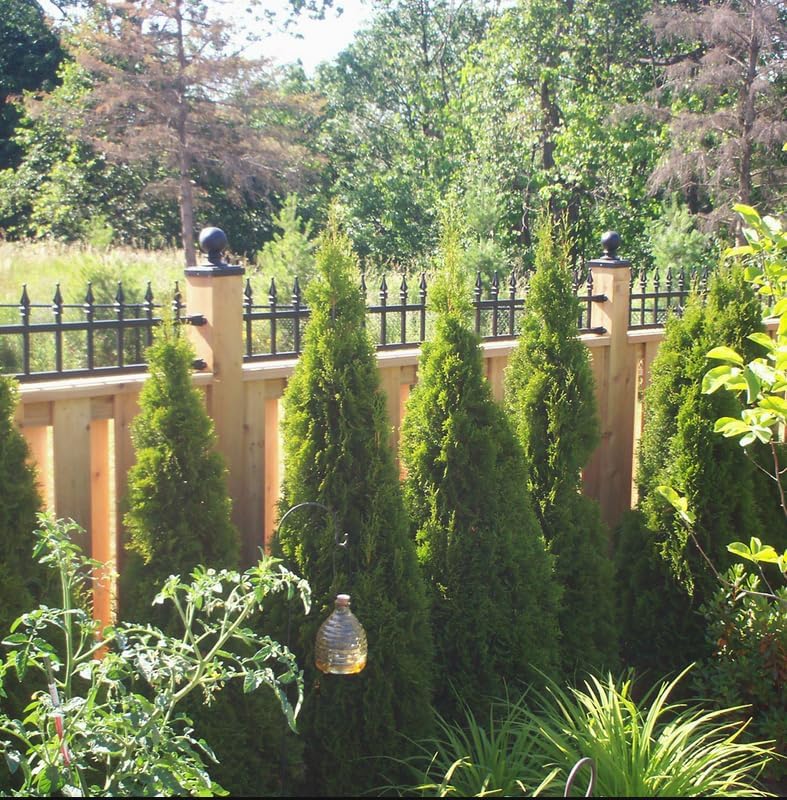 Nuvo Iron 6" x 6" Black Aluminum Ornamental Ball Post Cap, Pack of 6