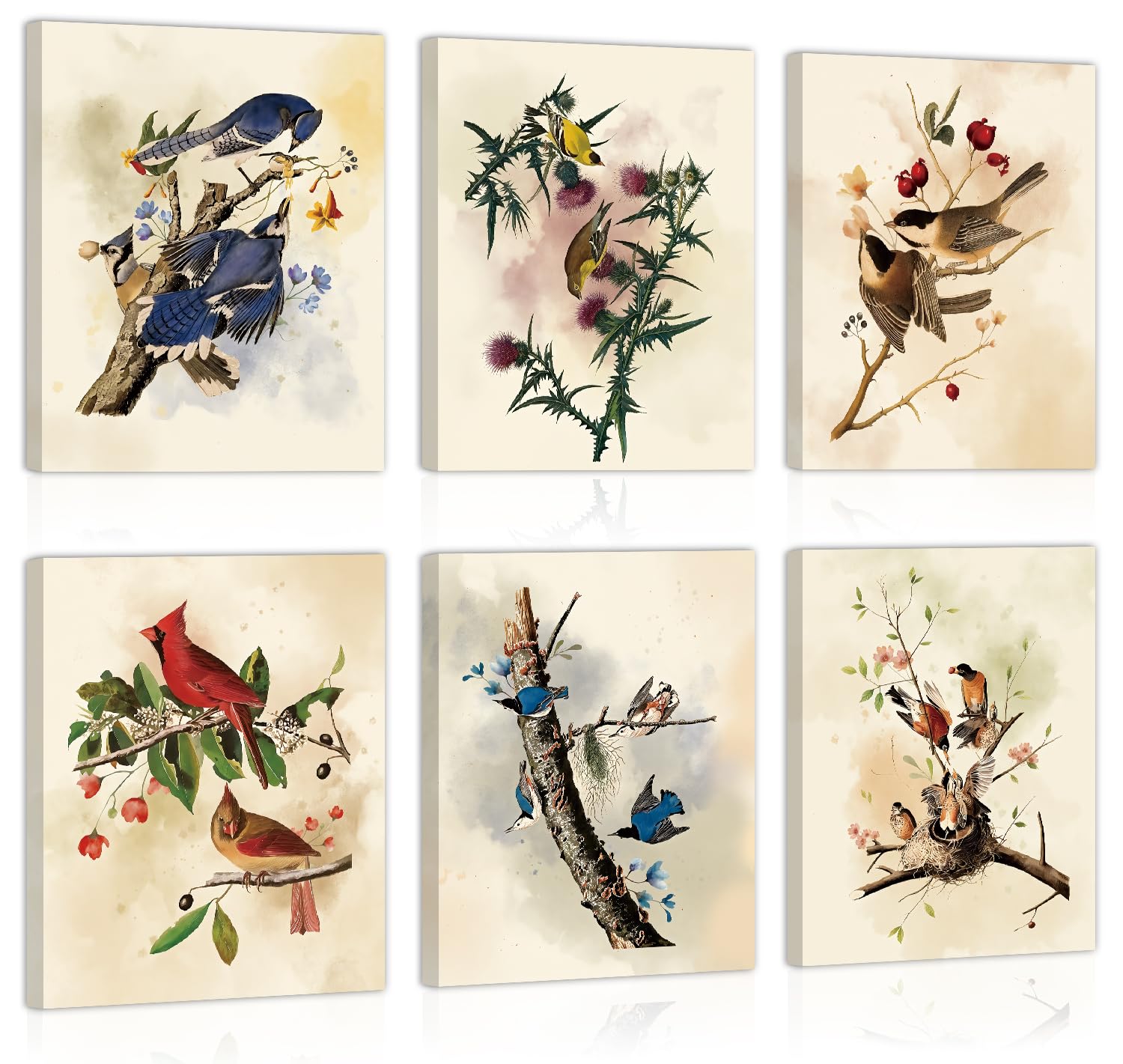 CHDITB Vintage Bird Framed Canvas Wall Art Set