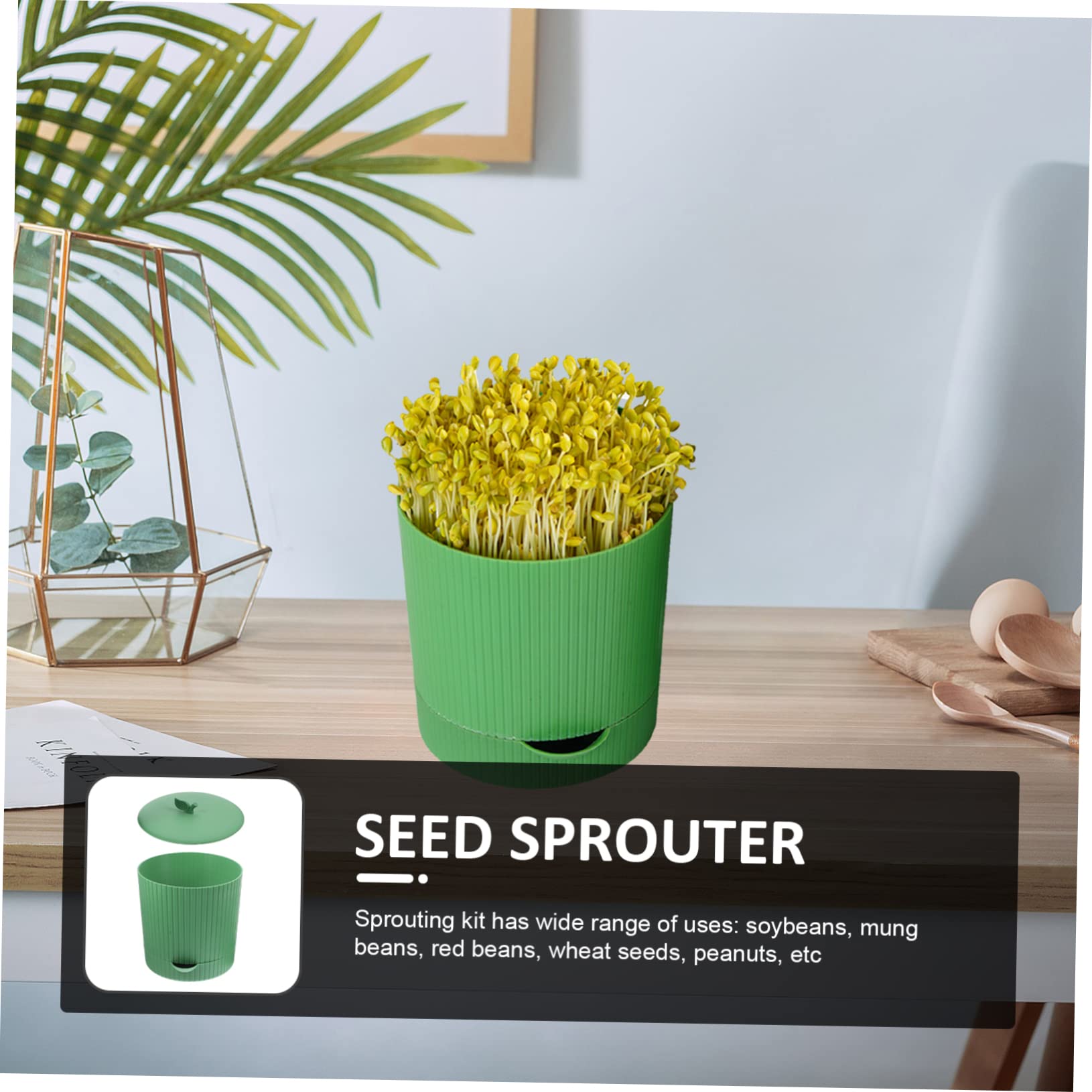 Kit de Culture de Germes de Haricots en PP, Pot de Germination Réutilisable Sortie D’Eau, pour Haricots Mungo et Rouges, Jardin ou Serrage