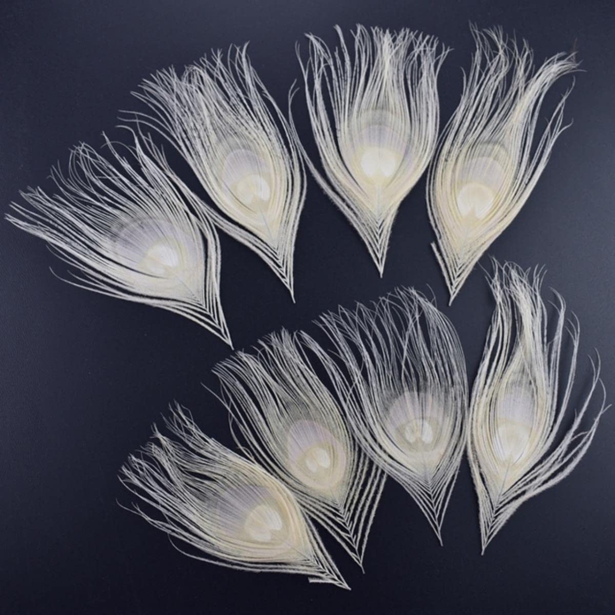 50 Plumes De Paon Blanches Naturelles - Longueur 25-30 Cm - Décoration Mariage, Costumes, Accessoires Cheveux