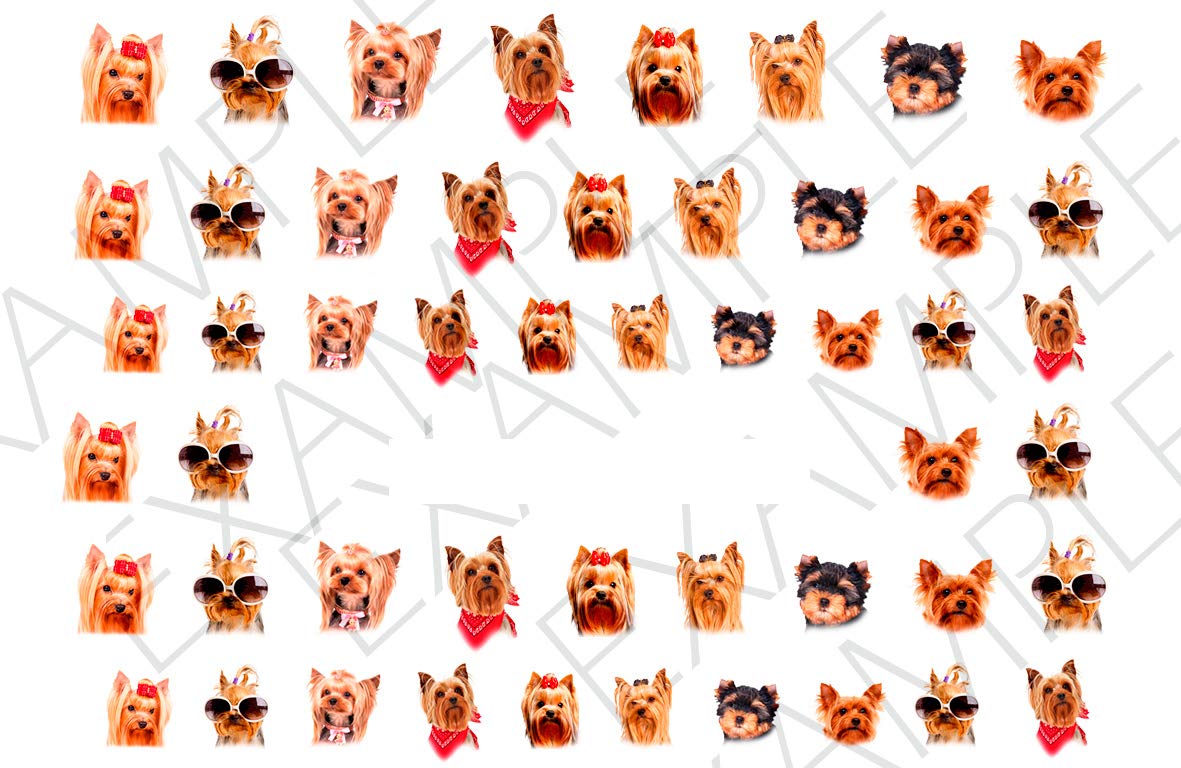 Yorkshire Terrier Water Nail Art Transfers Stickers Decals - Set of 50 - A1295
