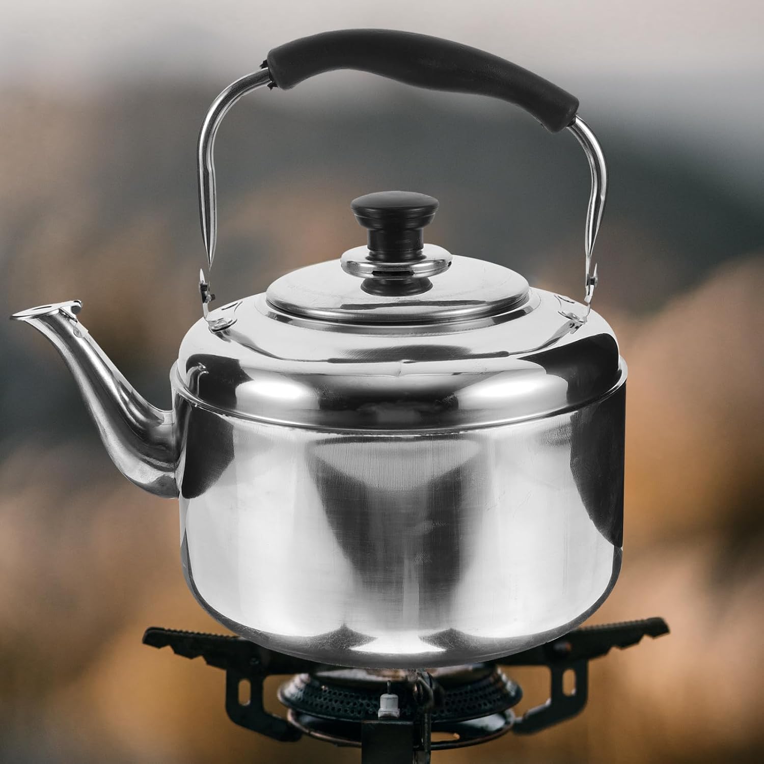 DOITOOL Stainless Steel Tea Kettle for Stove Top: Metal Teapot Water Kettle Water Tea Pots for Stove Top Camping Stove Gas Stove Water Kettle 4L