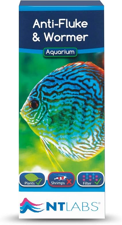 amazon aquarium fish