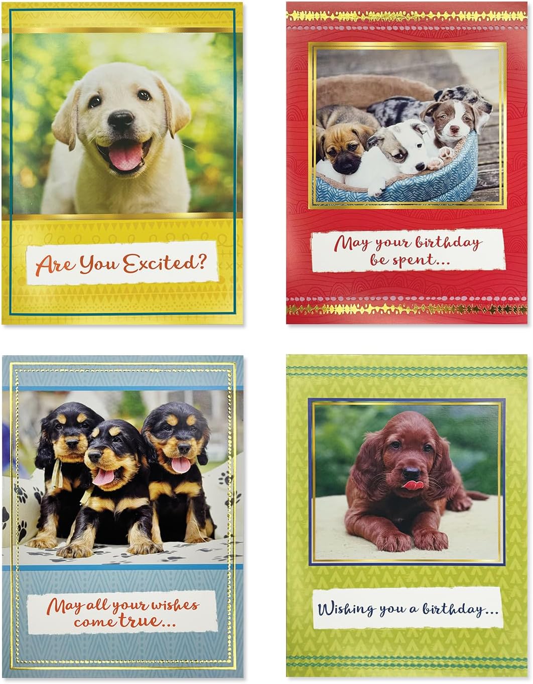 Designer Greetings Dog Birthday Cards 12 Pack image 2