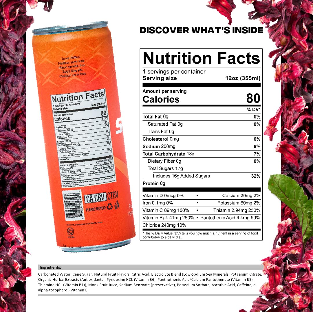 StayLyte Variety Pack – Sparkling Carbonated Electrolyte Drinks, 3-in-1 Recovery Energy Hydration Drinks – 425mg Electrolytes, 50mg Clean Caffeine, B-Vitamins – 24 Pack