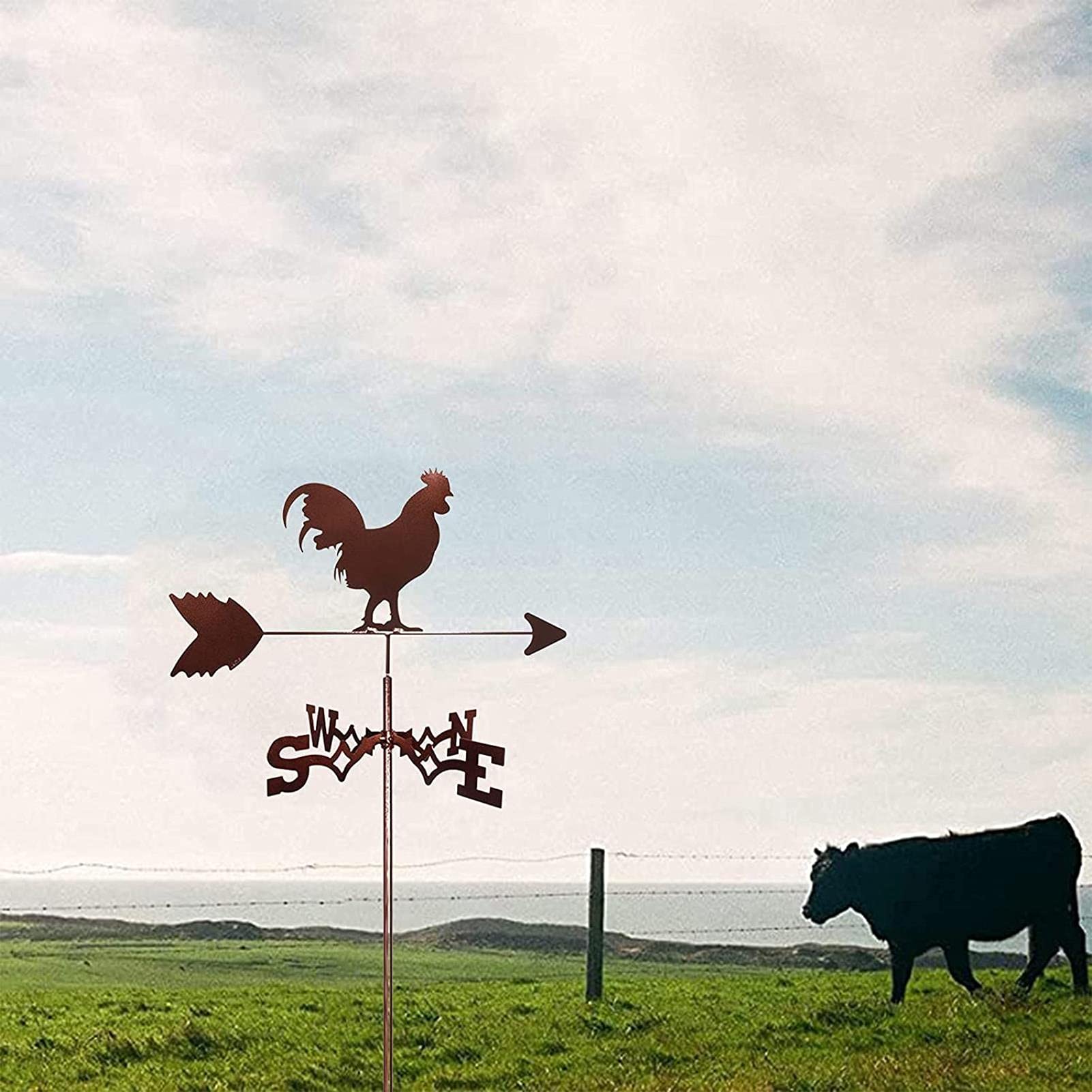 Girouette en Fonte girouette girouette soufflée au Vent décorations de Coq en métal indicateur de Direction pour Toit extérieur Ferme Cour