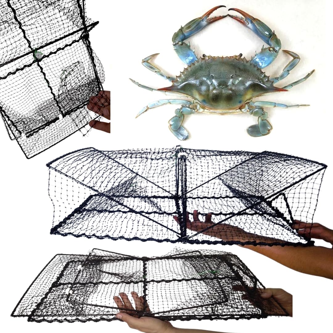 Rete Bertavello IL KILLER DEL GRANCHIO BLU a due entrate rettangolare pvc nylon 23x45x60 valido da mare e fiume (astici, granchi, canocchie, anguille)