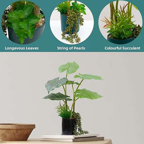 Miniatura 3 de CXGS Plantas falsas realistas en maceta, para interiores de 19.7 pulgadas de alto, planta de vegetación sintética y mini planta suculenta artificial