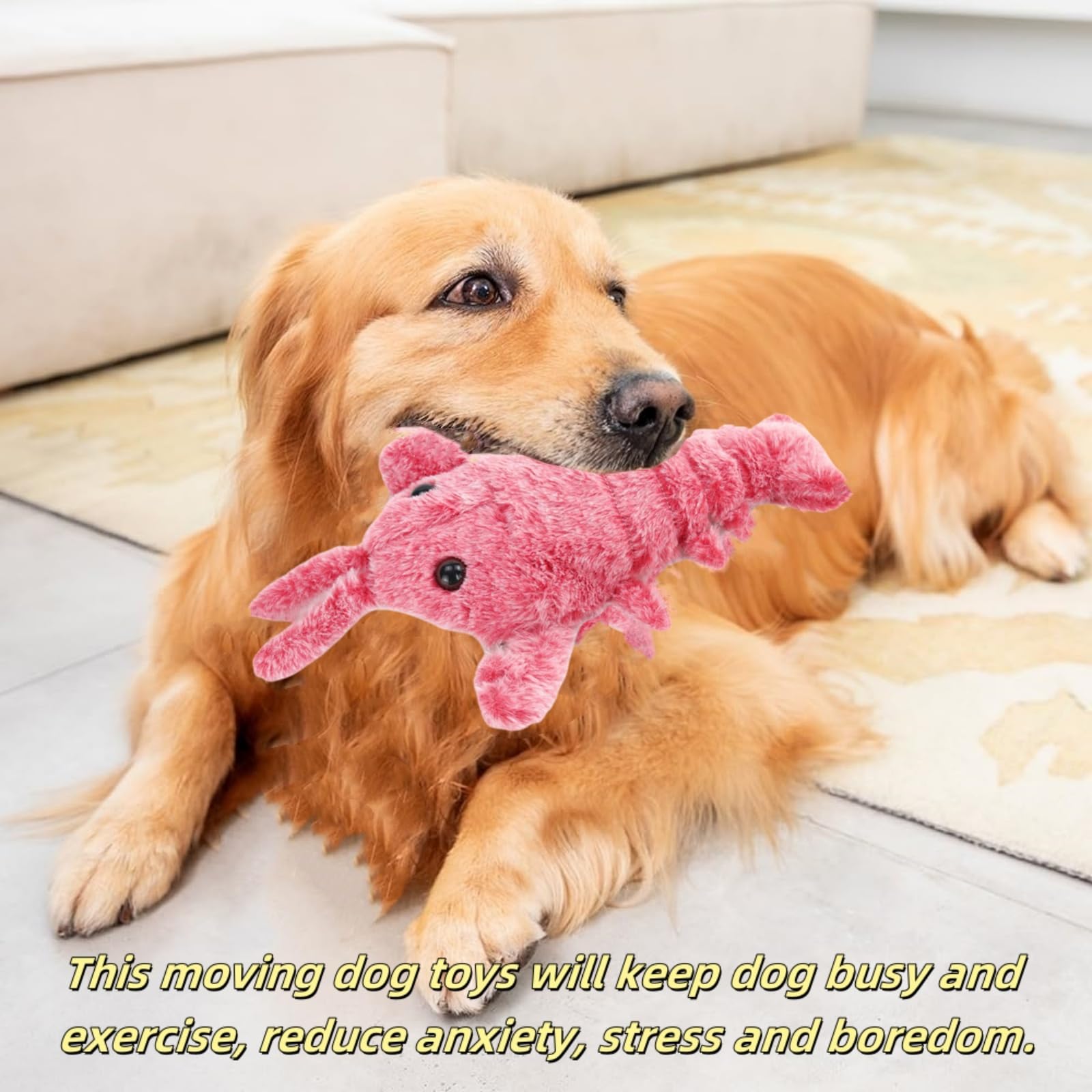 Winnsell Cute Interactive Dog Toy - Image 2