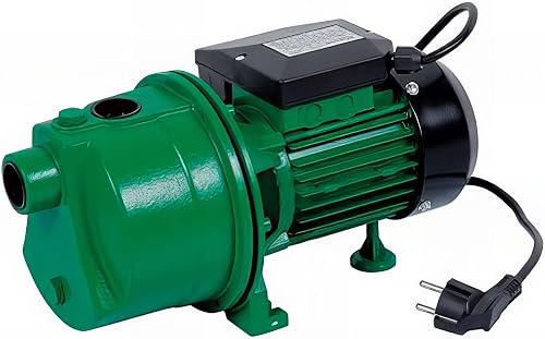 Pompe De Surface Auto-amorçante 600w 