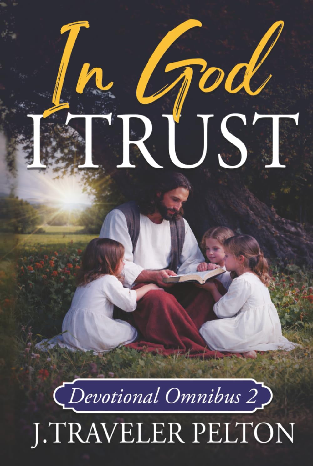 In God I Trust: Book Two (Collected Faith Journeys)