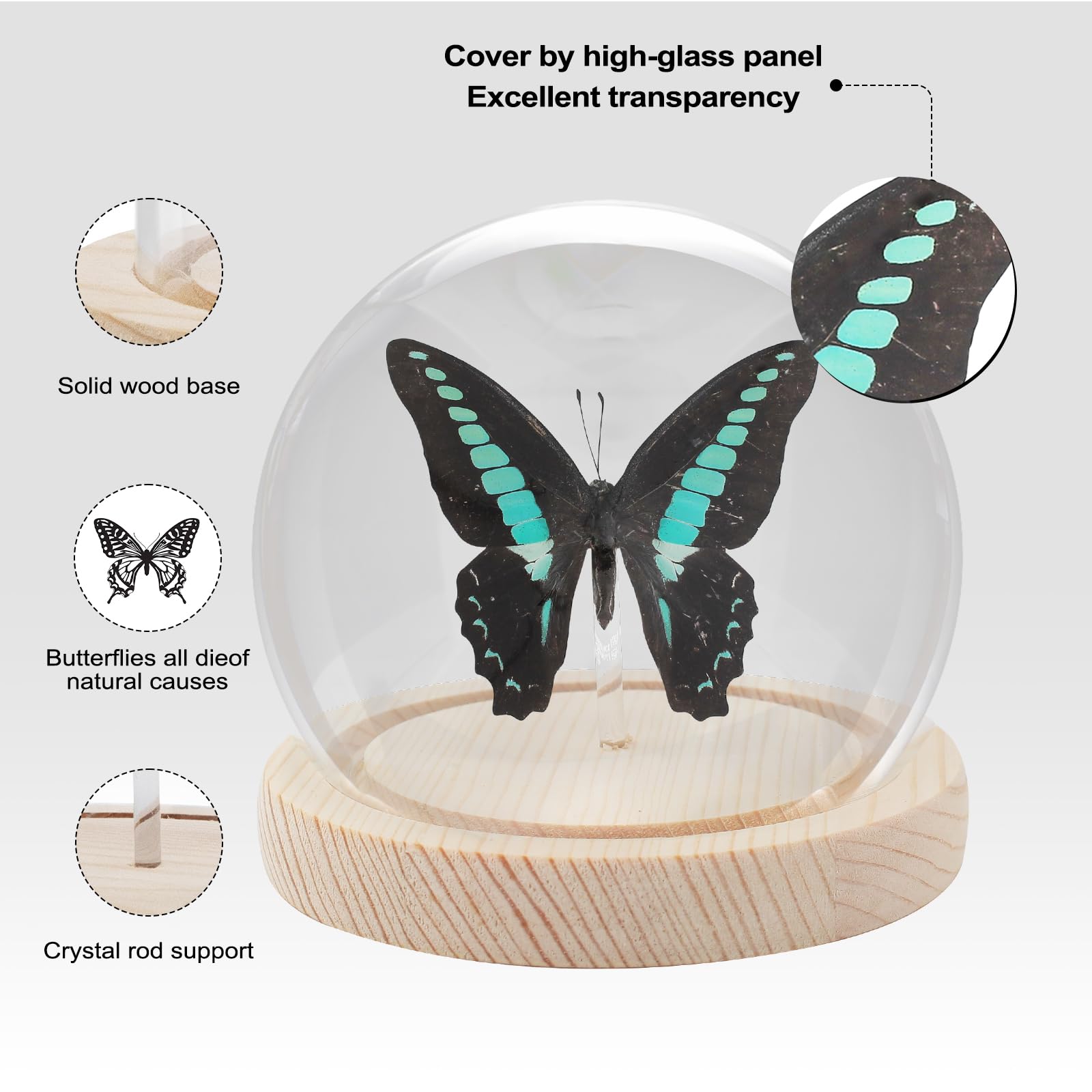 Doodlebug Desgin Shadow Box Insert Kit-Hometown USA