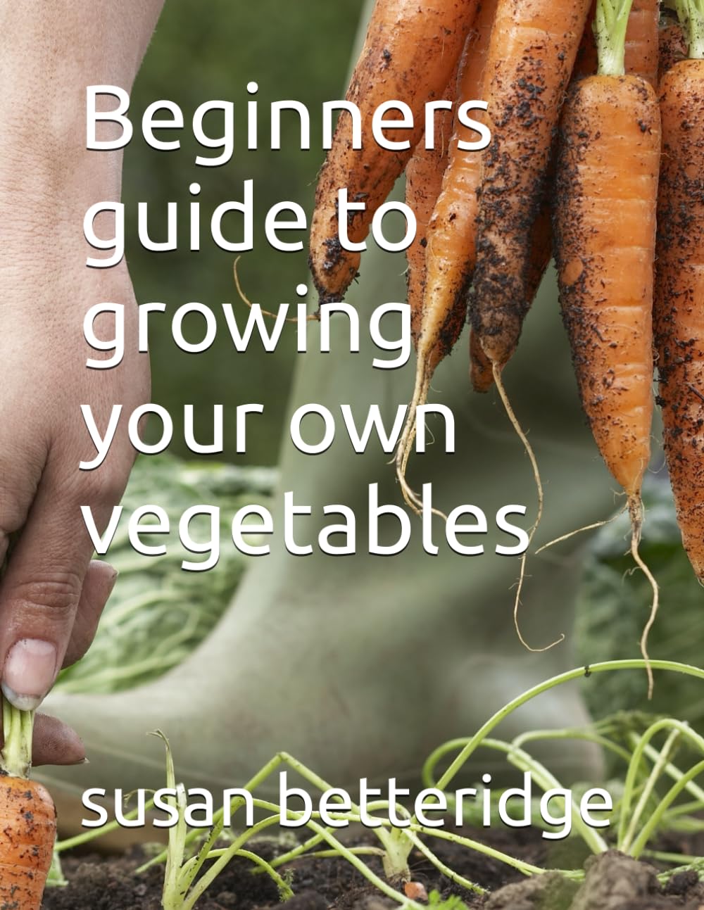 Beginners guide to growing your own vegetables
